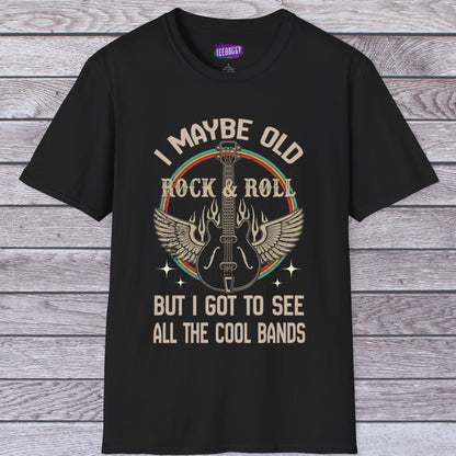 Rock Guitar Wings Unisex T-Shirt for Veteran Rockers