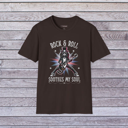 Rock & Roll Cat T-Shirt — "rock & roll, soothes my soul"