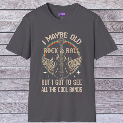 Rock Guitar Wings Unisex T-Shirt for Veteran Rockers