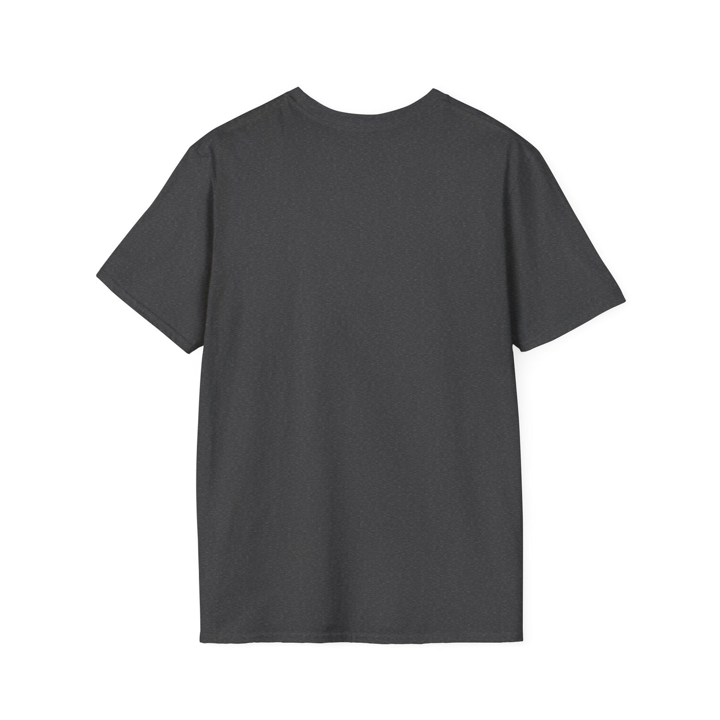 All I Want To Do Is Play My Guitar All Day Long, T-Shirt