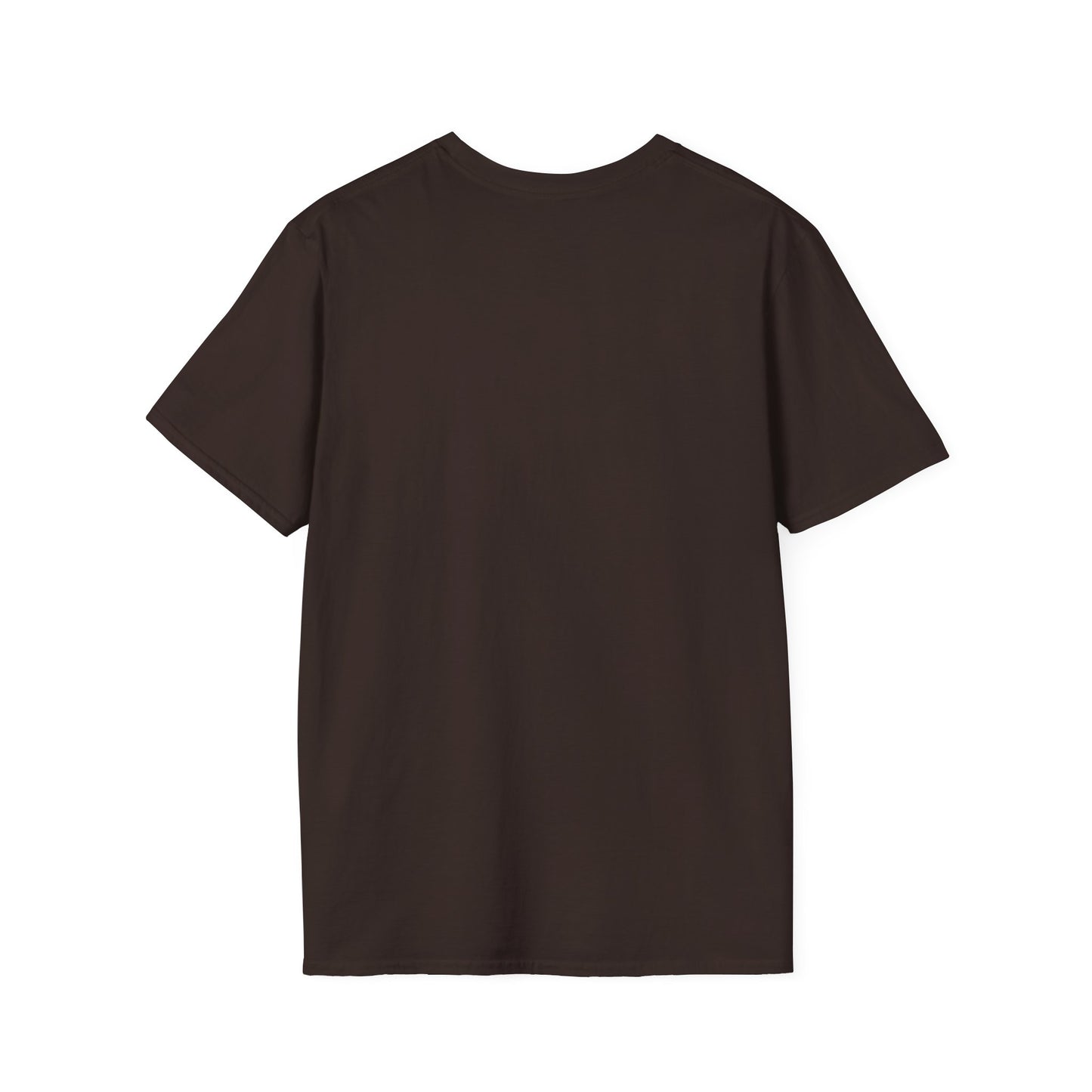 All I Want To Do Is Play My Guitar All Day Long, T-Shirt
